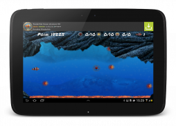 Wonder Fish Permainan Free HD screenshot 11