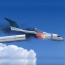 Fly Flight Crash Survival Icon