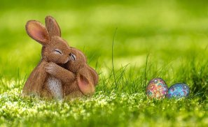 Beautiful and cute bunny puzzle - free screenshot 5