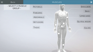 Gym of Tomorrow: 3D Interactive Exercise Guide screenshot 6