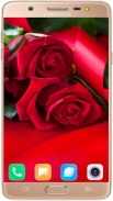 Red Rose Wallpaper 4K screenshot 10