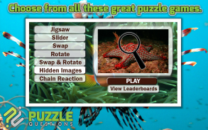 Free Under the Sea Puzzles screenshot 0