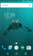 Cute Turtle Wallpaper Theme screenshot 5