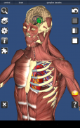 3D Bones and Organs (Anatomy) screenshot 10