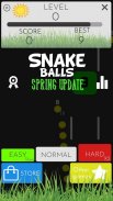 Snake Balls: Level Booster XP screenshot 3