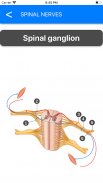 Anatomy Atlas for Students - Lite Version screenshot 9