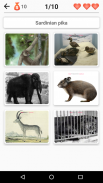 Extinct animals, endangered species! Rare animals screenshot 9