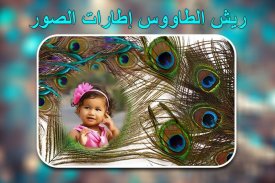 إطارات صور ريش الطاووس screenshot 1