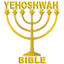 Yehoshwah Bible Icon