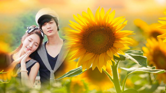 sunflower photo frames editor screenshot 6