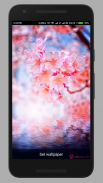 Spring Live Wallpaper screenshot 3