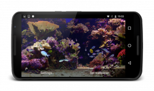 Tropical Aquarium Video LWP screenshot 4