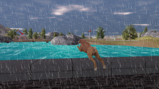 Boxer Dog Simulator screenshot 15