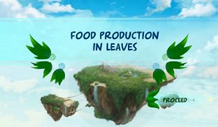 Food Production in Leaves screenshot 0