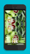 Gif Live Wallpapers : Animated Live Wallpapers screenshot 18