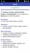 Antonyms Synonyms Dictionary screenshot 2