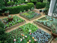 Raised garden bed screenshot 11