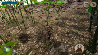 Ants - simulation fourmi screenshot 5