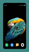 Parrot Wallpapers 4K screenshot 12