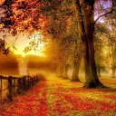 Autumn Wallpaper HD