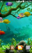 Fishes Live Wallpaper 2020 - Aquarium Koi Bgs screenshot 1