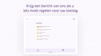 Toeslagen screenshot 2