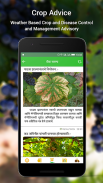 Amigrapes screenshot 1