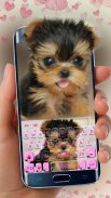 ثيم لوحة المفاتيح Cute Puppy screenshot 3