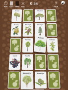 ForesTree Philippine Native Trees Game screenshot 6