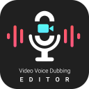 Video Voice Dubbing Editor