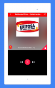 Radios Peruanas en Vivo - Emisoras del Peru Gratis screenshot 12