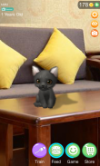 AR Cat screenshot 7