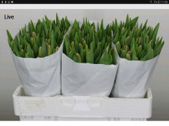 Hilverda De Boer B.V. App screenshot 7