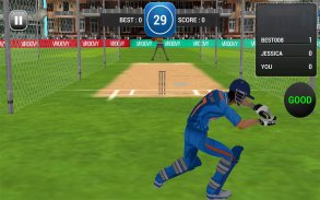 MSD: World Cricket Bash screenshot 6