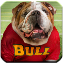 Bulldog - HD Wallpapers Icon