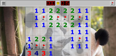 Minesweeper