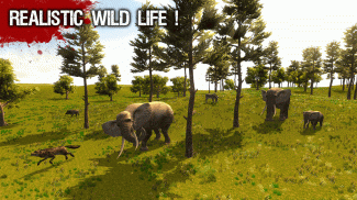 Wild Life - Wolf screenshot 3
