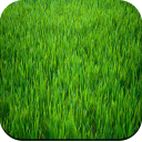 Grass wallpaper Icon