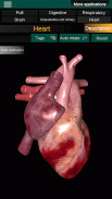 Organi interni 3D (anatomia) screenshot 14
