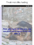 Chuẩn Ngôn Chất screenshot 3