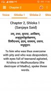 Bhagavad Gita (Hindi Audio) screenshot 10