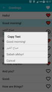 Learn Arabic screenshot 5