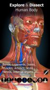 3D-Anatomie - Anatomy Learning screenshot 1
