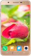 Red Rose Wallpaper 4K screenshot 1