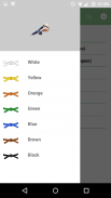 Judo Grading screenshot 5