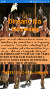 Dinaane tsa Setswana screenshot 2