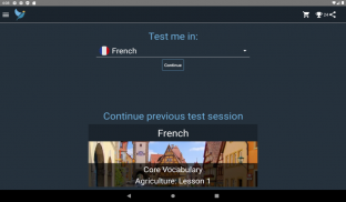 French Language Tests screenshot 3