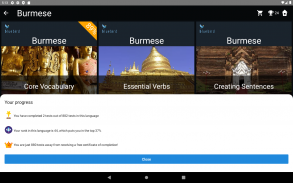 Burmese Language Tests screenshot 18