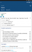 Vietnamese English Dictionary screenshot 5
