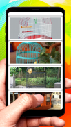 Bird cage design ( offline ) screenshot 1